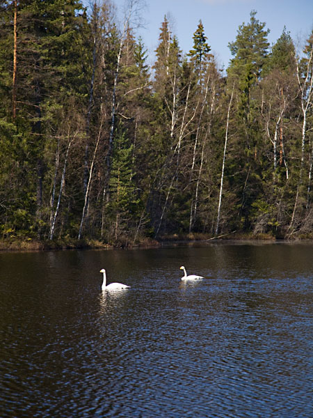 Kolmiperslammi
